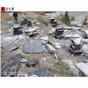 ��԰���̤��ʯ ����ͥԺ���ʯ԰�ֹ㳡����͡����·ʯ