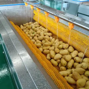 土豆去皮清洗机 毛辊去皮清洗机 毛刷去皮机械设备