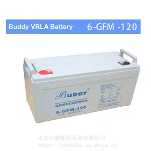 BUDDY��������6-CNJ-100����ʽ�ܷ�Ǧ����ά��12V100AH���ֱ����UPS