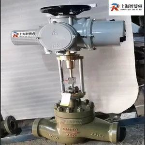 Դͷ���� ZDLP-16C-DN65�綯�������ڷ�����ָ��¿��Ʒ�
