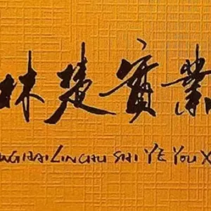 上海林楚实业有限公司