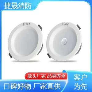 自带蓄电池 防阻燃 人体感应停电照明灯 厂家供应 东君