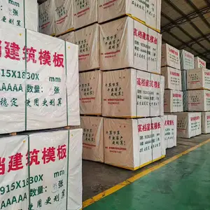 �������㽨��ģ�峧�ң�����ģ�����������ľҵ��26 �꽨��ľģ��������300 �������ڹ��ص��쵽��