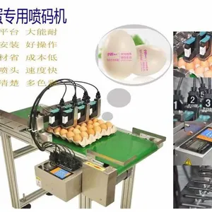 鸡蛋喷码机鸡蛋LT-6专用喷码机哪家好