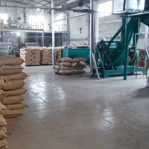 新加坡进口品质上海G国标级硬脂酸锌Z-100增加涂料打磨性能