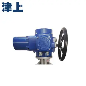 Q941F-25C DN15 DN20 DN25 ���ɵ� ���� �����ԴAC220V�綯������