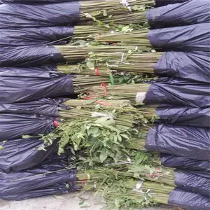 ��ׯũҵ�����㴻������������㴻����������������㴻��