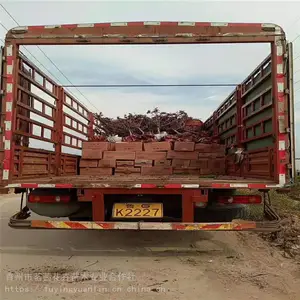 ��Ҷ��Ļ����Ǽ��£���Ҷ����ֲ��������Ҷ���