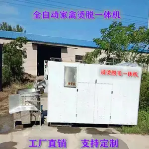 大型屠宰场宰杀设备家禽脱毛机烫脱全自动一体机商用鸡鸭鹅打毛机械拔毛机
