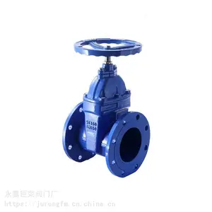 DN100法兰闸阀 Z45T-16Q球墨铸铁铜杆闸阀 水工业管道开关阀球墨铸铁暗杆闸阀