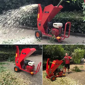 ������֦�ƶ�ʽ��֦�� �������������ͷ���� ľ�ķ����԰����Ҷ��
