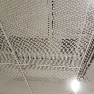 健身房大厅吊顶金属装饰铝拉网墙面幕墙屏风隔断