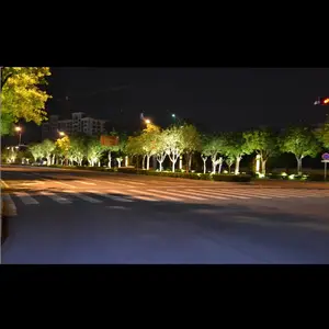 ��Ӧרҵ¥�彨��ҹ��������������Ч��ͼ��Ʊ���ʩ��