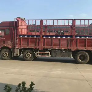 ��«�����������sbs��ˮ������������