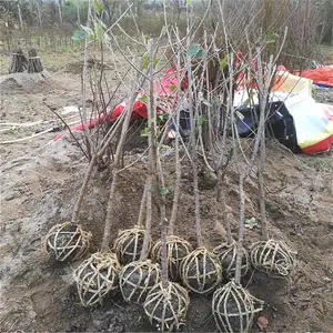 ���������ӣ����۸��,������ӣ�������Ǯһ��