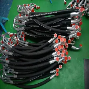 ��ĥ�в����� ��ھ��������� ����������� ��ï����