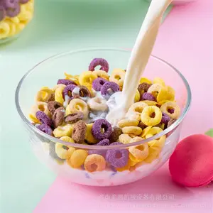 网红休闲零食甜甜圈生产线 干吃粗粮玉米片膨化机