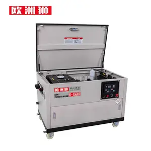 ŷ��ʨ20KW�������ͷ���� B-20GDI ˫��ѹȫ�Զ���λ���õ�Դ