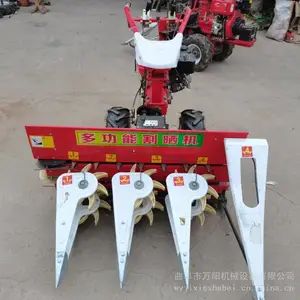 С���������޻��ո������ո�� ����ʽ���͸�ɹ�����