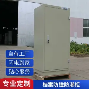 防磁柜 硬盘档案防潮防火光盘信息柜（江 苏）成霖牌