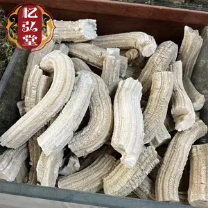 �������տ�������ҩ�� �������������� ��֤���䱳ҩ��