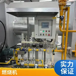 回转窑管式加热炉天然气烧嘴转炉煤气天然气燃烧器源头厂家岱鼎