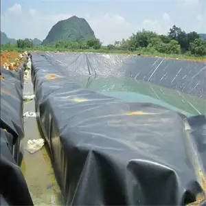 湖北防渗土工膜 土工膜抗穿刺防水材料