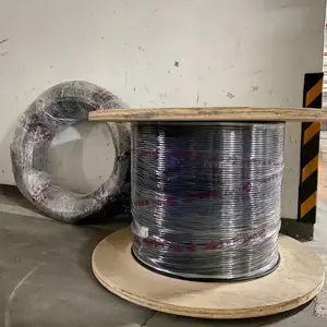�������ⵥģ�������ڴ�����