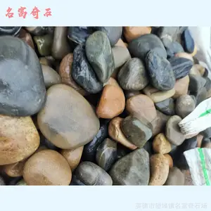 �麣����ʯ��԰����ɫ����ʯͼƬ���̵�Сʯͷ��ԭ����