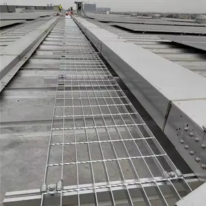 ������ָ�� ���� ���������ߵ��� �����п��դ��