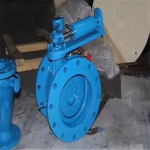 BFDZ701XҺ���Զ����Ʒ� BFDZ701X-25C �Զ����Ʒ� ˮ�����Ʒ� DN250
