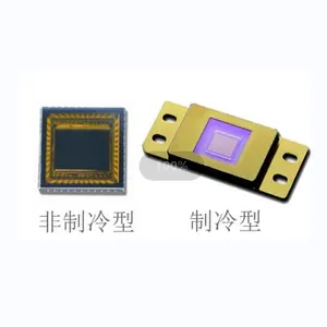 高性能高质量成像铟镓砷短波探测器-立鼎光电生产