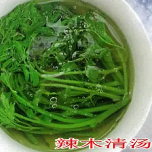 彝山香24年新货批发辣木新叶辣木菜辣木腌菜原产地直供