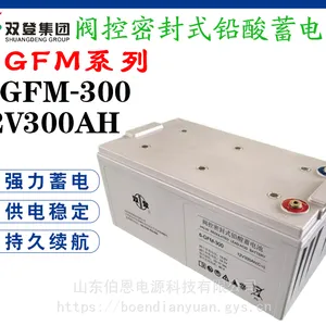双登铅酸蓄电池6-GFM-300 12V300AH消防和安全警报系统 UPS/EPS电源
