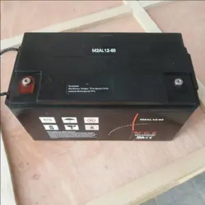 ÷����������12V6***H M2AL12-65 ��ά��Ǧ��