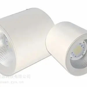大型商超物流中心高天棚大瓦数高亮LED工矿筒灯
