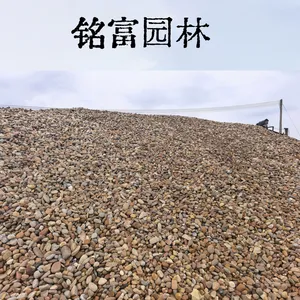 广 东大量供应鹅卵石5-8公分，源头厂家鹅卵石，采购电厂的鹅卵石