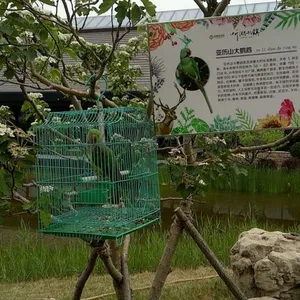 ��Ӧ�������չ�����ޱ���
