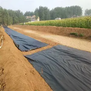 山西双光面土工膜 土工膜使用年限