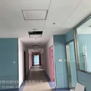 真石抗菌吊顶