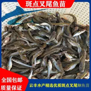 ����ˮ��***��β�t���� �γǹ�Ӧ����***��β���� ��β���������