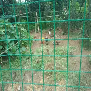 ������˿�� �Ĵ�����Χ���� ��ֳ����˿��