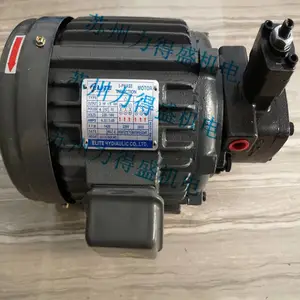������ELITEҶƬ��VP-08-FA2 ��ƷͼƬ