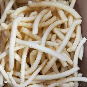 信达十种花形大米膨化机配带变速器自动切断小弯管形