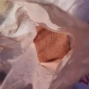 ��¯������ �ό���Ƽ� ������ ��ҹ�¯ȼú����