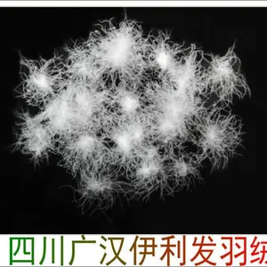 �¹�������װ���ڳ���70��Ѽ��