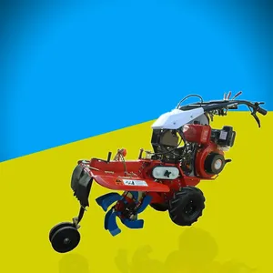 ���ݴ�д󽪿��������� �๦���ַ���԰������ ���� Ʒ�ʱ���