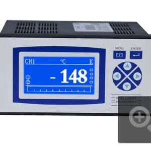 经济型蓝屏无纸记录仪 R2004E