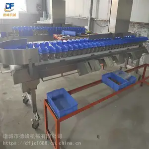 小克量鸡爪分选机 鸭腿分拣机 等级分选设备流水线
