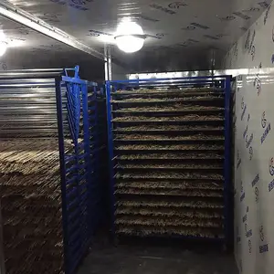 �����ɻ� �����ȱó�ʪ���� ���ͷ����ɷ�